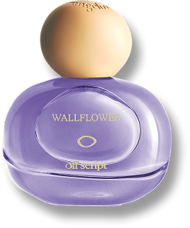 WALLFLOWER